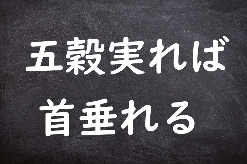 五穀実れば首垂れる（ごこくみのればくびたれる）