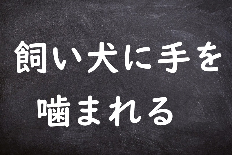 飼い犬に手を噛まれる（かいいぬにてをかまれる）