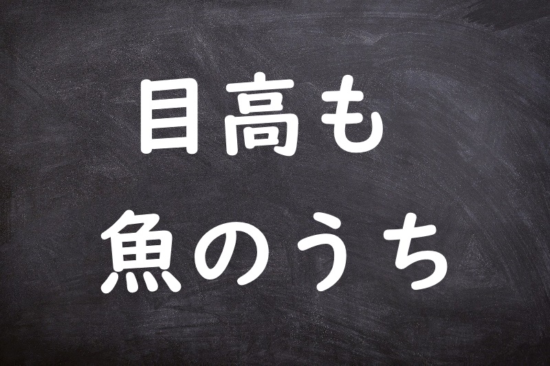 目高も魚のうち（めだかもととのうち）