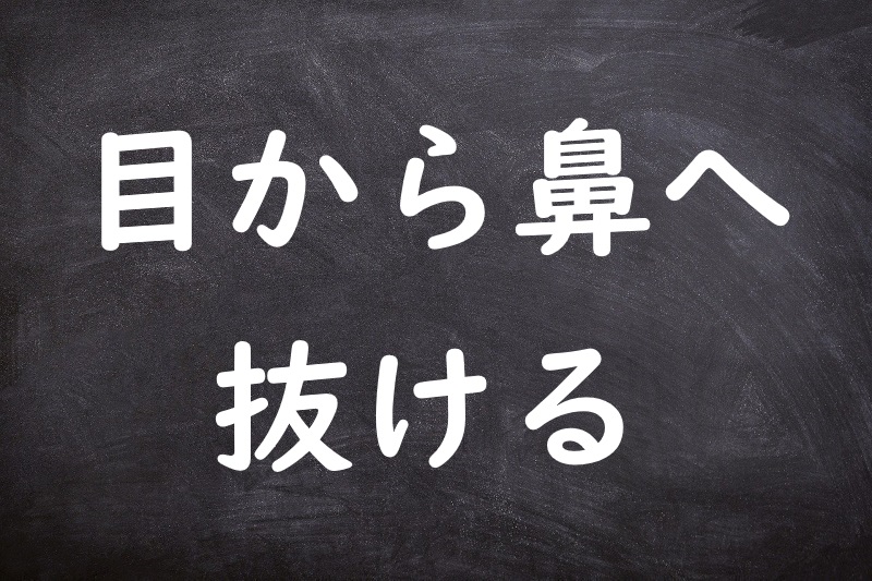 目から鼻へ抜ける（めからはなへぬける）