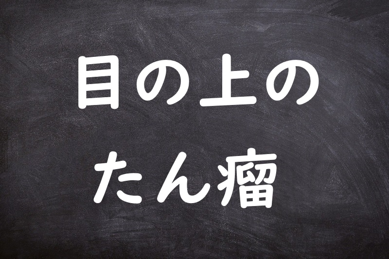 目の上のたん瘤（めのうえのたんこぶ）