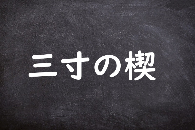 三寸の楔（さんずんのくさび）