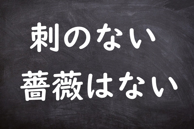 刺のない薔薇はない（とげのないばらはない）